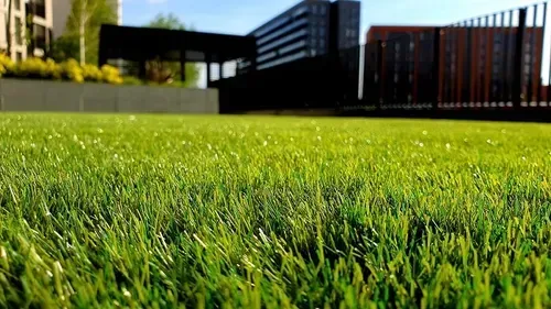 Synlawn Realistic Artificial Turf Kailua