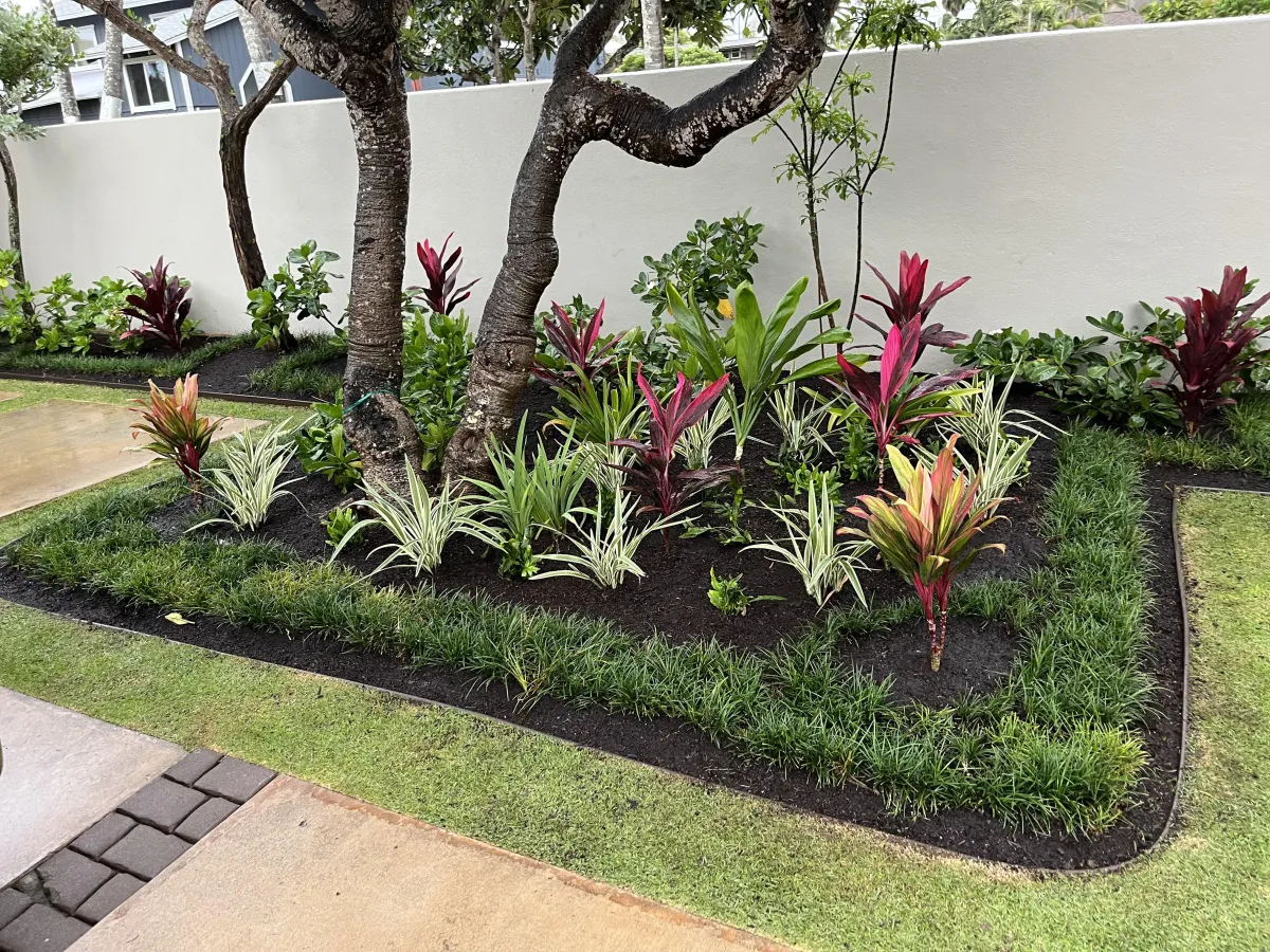Ryan Tucker of Tux Landscape standing next to his work truck in Kailua, East Oahu, ready for landscaping, irrigation, and yard renovation services.
